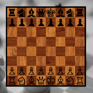 ChessEngine_screenshot020